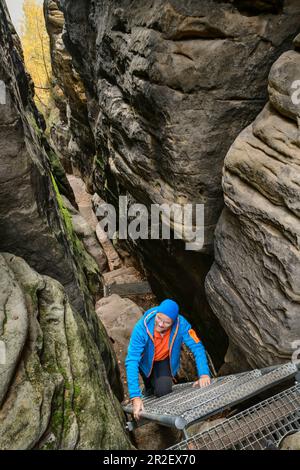 Der Mensch klettert die Leiter durch die Schlucht hinauf nach Gohrisch, Gohrisch, Elbsandsteingebirge, Nationalpark Sachsenschweiz, Sachsenschweiz, Sachsen, Deutsch Stockfoto