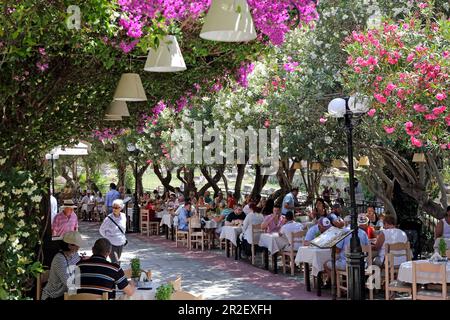 Tavernen unter blühenden Oleandern und Bougainvillea-Büschen in der Nafklirou Street, Kos Stadt, Kos, Dodekanese Stockfoto