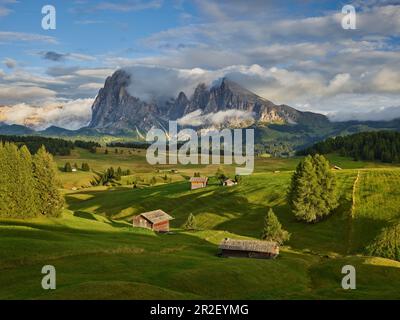 Langkofel, Seiser Alm, Südtirol, Italien Stockfoto