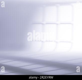 Minimalistischer Hintergrund von Schatten von Baumzweigen und Gartenpflanzen auf weichem Hintergrund. Schatten Hintergrund. Stockfoto