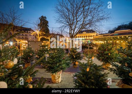 Advent im Park, Baden bei Wien, Niederösterreich, Österreich Stockfoto