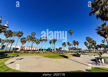 Die Menschen genießen ihre Zeit in einem Park mit Palmen am Ocean Front Walk, Venice Beach, Kalifornien, USA Stockfoto