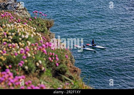 Stand-up-Paddler an der Küste von Whinnyfold, Aberdeenshire Stockfoto