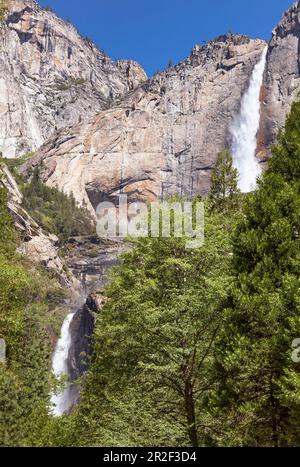 Lower and Upper Yosemite Fall, Yosemite National Park, Yosemite Falls Trail, Kalifornien, USA Stockfoto