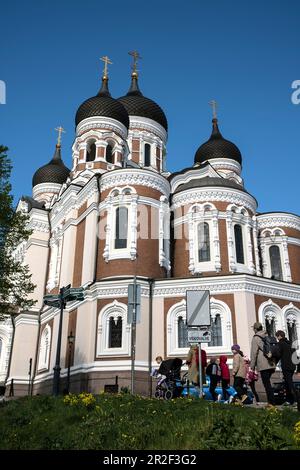 Alexander-Nevsky-Kathedrale, Toompea-Hügel im Zentrum von Tallinn, Estland Stockfoto