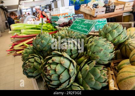 Artischocken und Rhabarber in der Markthalle Les Halles, Redon, Departement Ille-et-Vilaine, Bretagne, Frankreich, Europa Stockfoto