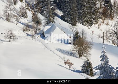 Blick vom Schauinsland auf den Hof im Hofsgrund, Wintertag, Schnee, südlicher Schwarzwald, Schwarzwald, Baden-Württemberg, Deutschland, Europa Stockfoto