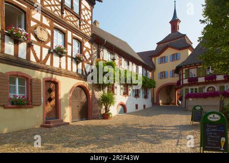 Burkheim Altstadt mit Stadttor, Kaiserstuhl, Baden-Württemberg, Deutschland, Europa Stockfoto