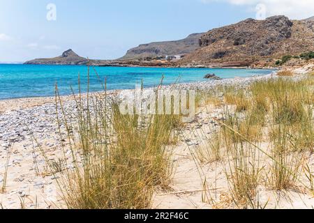 Am Strand von Xerokambos (Mazida Ammos), Ostkreta, Griechenland Stockfoto