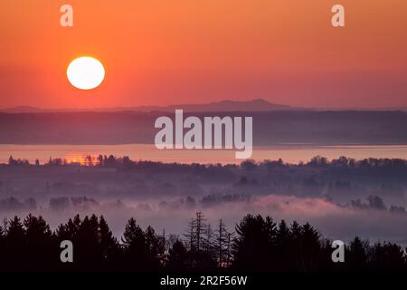 Sonnenaufgang über Chiemsee, Chiemgau, Chiemgau Alpen, Oberbayern, Bayern, Deutschland Stockfoto