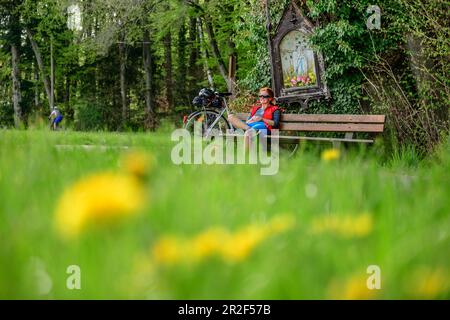 Radfahrerin sitzt auf der Bank und macht Pause unter dem Stock, von Baum zu Baum Radweg, Irschenberg, Oberbayern, Bayern, Deutschland Stockfoto
