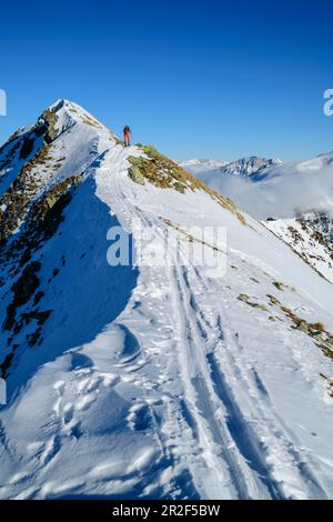 Frau auf Skitour steigt zu Wetterkreuzkogel, Wetterkreuzkogel, Stubai-Alpen, Tirol, Österreich Stockfoto