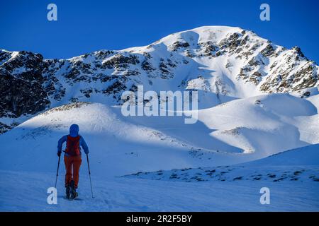 Frau auf Skitour steigt zu Wetterkreuzkogel, Wetterkreuzkogel, Stubai-Alpen, Tirol, Österreich Stockfoto