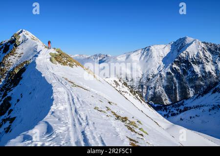 Frau auf Skitour steigt zu Wetterkreuzkogel, Wetterkreuzkogel, Stubai-Alpen, Tirol, Österreich Stockfoto