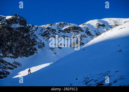 Frau auf Skitour steigt zu Wetterkreuzkogel, Wetterkreuzkogel, Stubai-Alpen, Tirol, Österreich Stockfoto