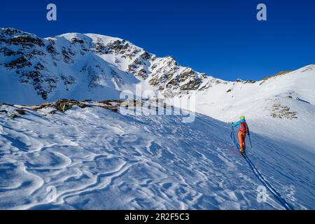 Frau auf Skitour steigt zu Wetterkreuzkogel, Wetterkreuzkogel, Stubai-Alpen, Tirol, Österreich Stockfoto