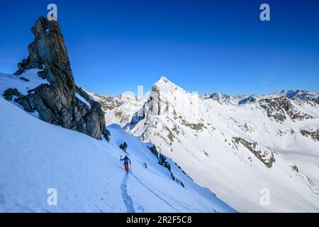 Frau auf Skitour steigt nach Hennesiglkopf, Langtauferer Tal, Ötztal Alpen, Südtirol, Italien Stockfoto