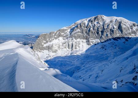 Hoher Göll im Winter, von Hohes Brett, Berchtesgaden-Nationalpark, Berchtesgaden-Alpen, Oberbayern, Bayern, Deutschland Stockfoto