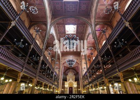 Im Inneren der großen Synagoge in Budapest, Ungarn Stockfoto