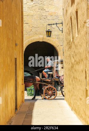 Der Kutscher fährt Touristen durch die Straßen von Mdina, Malta Stockfoto