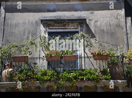 Ländliche Hausfassade mit verwitterter Wand, handgefertigte schmiedeeiserne Balkongeländer und Terrakottafelchen mit Blumen in Acireale Sizilien Italien. Stockfoto