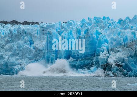 Während des Abkalbens fallen große Eisstücke von der Gletscherwand und spritzen ins Wasser, Pio XI Gletscher, Magallanes y de la Antartica Chil Stockfoto