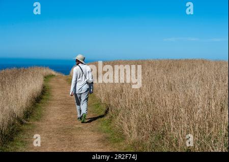 Eine Person mit Hut geht auf einem Weg durch ein Feld in Richtung Ozean in der Ferne, Kaikoura, Südinsel, Neuseeland Stockfoto