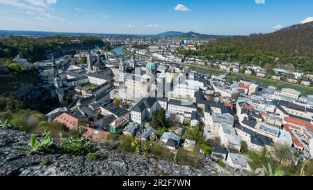 Blick über die Stadt vom Schloss Hohensalzburg, Salzburg, Österreich Stockfoto