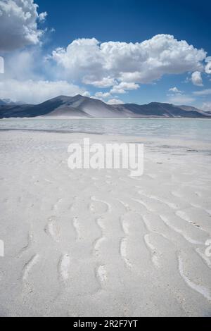 Piedras Rojas Lagune, Altiplanicas Lagune, Altiplano Plateau, Atacama Wüste, Antofagasta Region, Chile, Südamerika Stockfoto