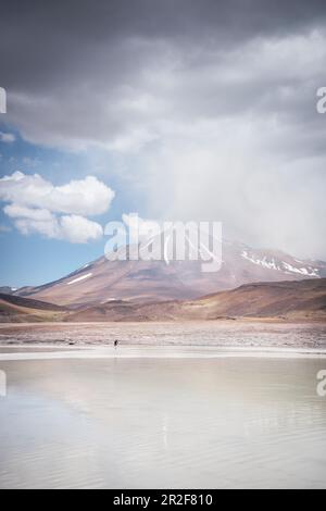 Piedras Rojas Lagune, Altiplanicas Lagune, Altiplano Plateau, Atacama Wüste, Antofagasta Region, Chile, Südamerika Stockfoto