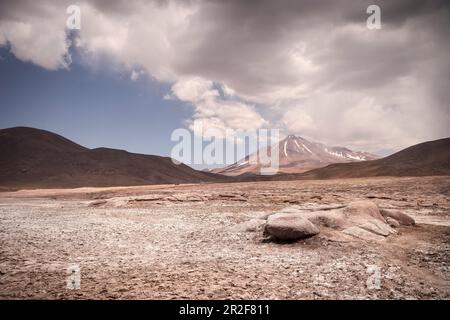 Piedras Rojas Lagune, Altiplanicas Lagune, Altiplano Plateau, Atacama Wüste, Antofagasta Region, Chile, Südamerika Stockfoto