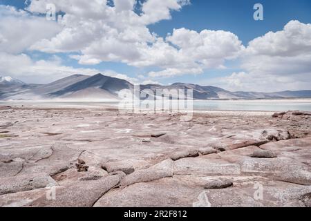 Piedras Rojas Lagune, Altiplanicas Lagune, Altiplano Plateau, Atacama Wüste, Antofagasta Region, Chile, Südamerika Stockfoto