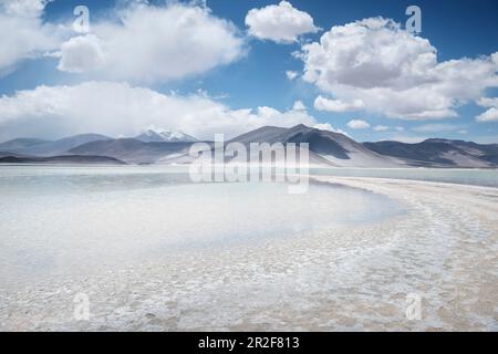 Piedras Rojas Lagune, Altiplanicas Lagune, Altiplano Plateau, Atacama Wüste, Antofagasta Region, Chile, Südamerika Stockfoto