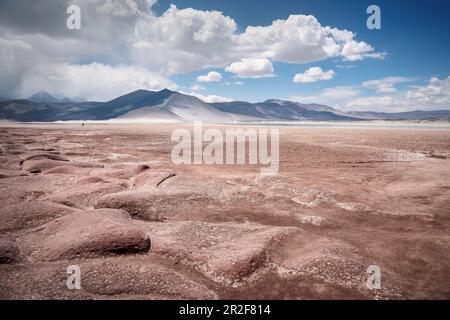 Piedras Rojas Lagune, Altiplanicas Lagune, Altiplano Plateau, Atacama Wüste, Antofagasta Region, Chile, Südamerika Stockfoto