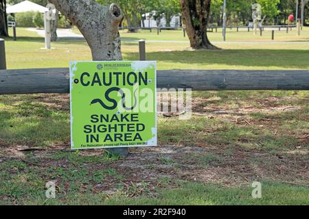 schild Warnung vor Schlangen North Stradbroke Island, Queensland, Australien. März Stockfoto