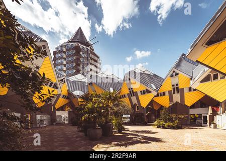 Würfelhäuser des Architekten Piet Blom in Sonne und blauem Himmel, Overblaak 70, Rotterdam, Niederlande Stockfoto