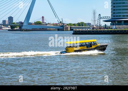 Ein Taxiboot fährt auf der New Meuse zum Kop van Zuid-Viertel. Die Erasmus-Brücke ist im Hintergrund zu sehen. Rotterdam, Niederlande, Juni Stockfoto