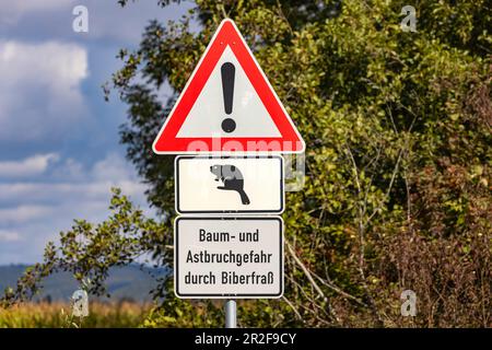 Gefahr durch Bruchstellen und Stürze, Verkehrszeichen warnt vor Bibern, Radolfzell, Baden-Württemberg, Deutschland Stockfoto