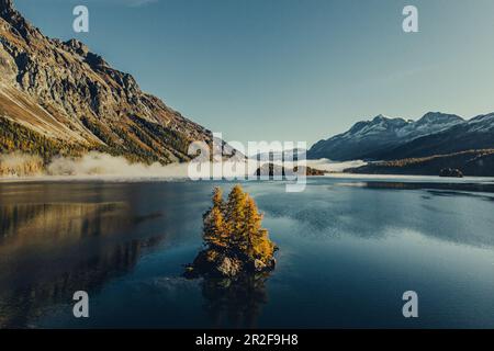 Inseln in Lake Sils bei Sonnenaufgang, Oberengadin, Sankt Moritz im Engadin, Schweiz, Europa Stockfoto