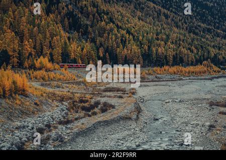 Berninaexpress auf dem Morteratsch-Gletscher, Bernina, Bernina-Pass, Oberengadine, Engadine, Schweiz, Europa Stockfoto