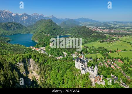 Tiefer Blick auf Schloss Neuschwanstein mit Alpsee und Schwansee, Tannheim-Gebirge im Hintergrund, von Tegelberg, Ammergau-Alpen, Schwabien, Bayern, Ge Stockfoto