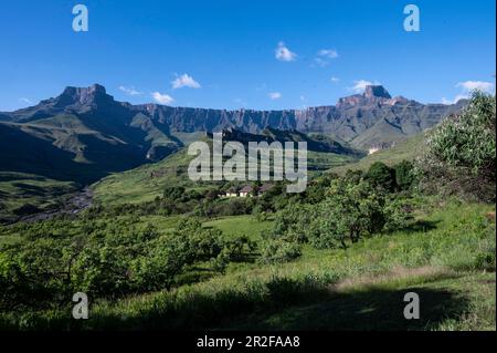 Amphitheater mit Helm und Sentinel und Thendele Rest Camp, Royal Natal National Park, Drakensberg South, Kwa Zulu Natal, Südafrika Stockfoto