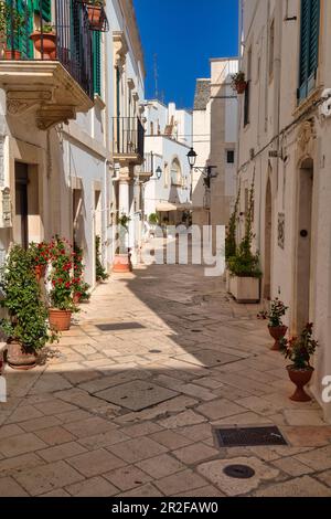 Häuser in der Altstadt von Locorotondo, Apulien, Italien Stockfoto