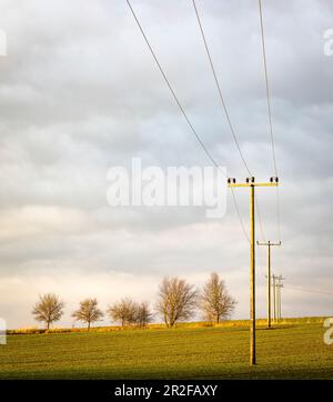 Strommasten auf dem Feld im Abendlicht, Bayern Stockfoto