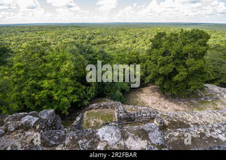 Blick auf den Dschungel vom Calakmul-Tempelgelände, Yucatan Peninsula, Mexiko Stockfoto