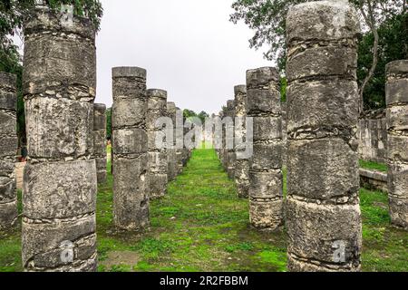 Antike Tempelruinen auf dem Gelände von „Chichen Itza“, Yucatan-Halbinsel, Mexiko Stockfoto