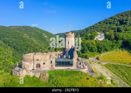 Luftaufnahme der Burg Landshut bei Bernkastel-Kues, Mosel, Rheinland-Pfalz, Deutschland Stockfoto