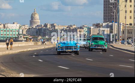 Oldtimer am Malecon - Ufer mit Blick auf das Capitol. Das Alte Havanna, Kuba Stockfoto