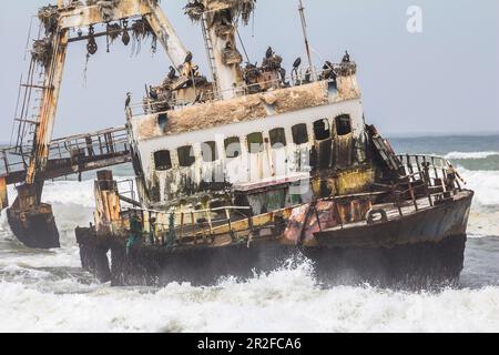 Zeila Schiffswrack / Geisterschiff an der Skeleton Coast bei Henties Bay, Namibia Stockfoto