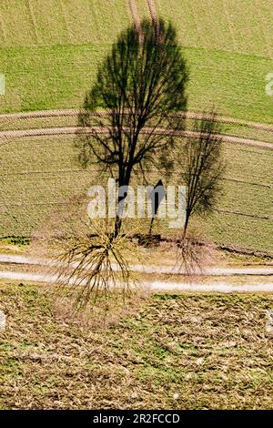 Luftaufnahme einer unbefestigten Straße mit Jesus Kreuz und Bäumen im Frühling. Oberbayern, Bayern, Deutschland, Europa Stockfoto
